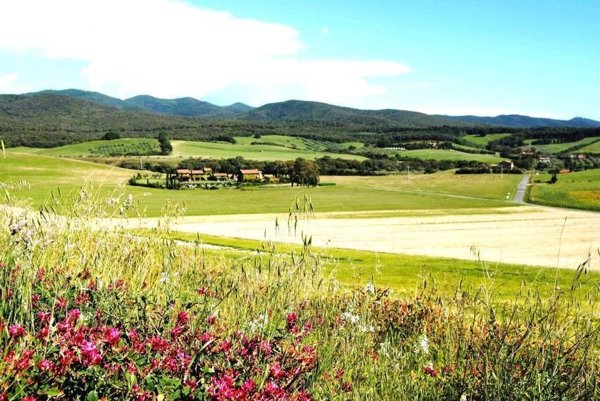terreno agricolo in vendita a Bibbona in zona Marina di Bibbona