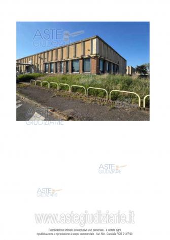 negozio in vendita a Bibbona