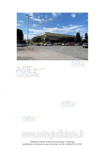 negozio in vendita a Bibbona