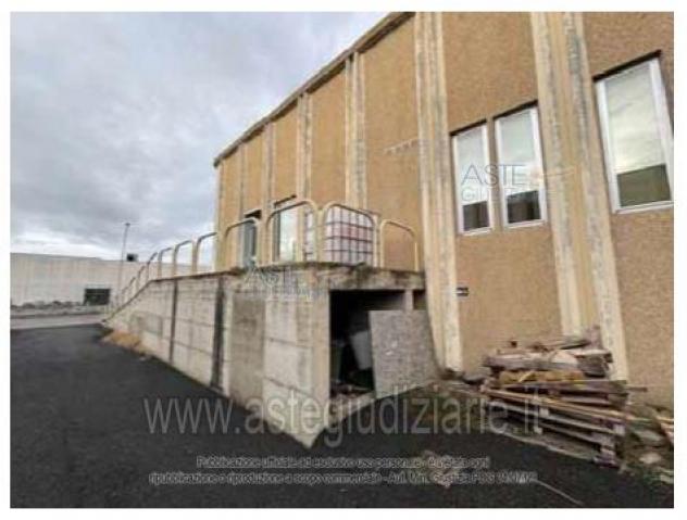 negozio in vendita a Bibbona