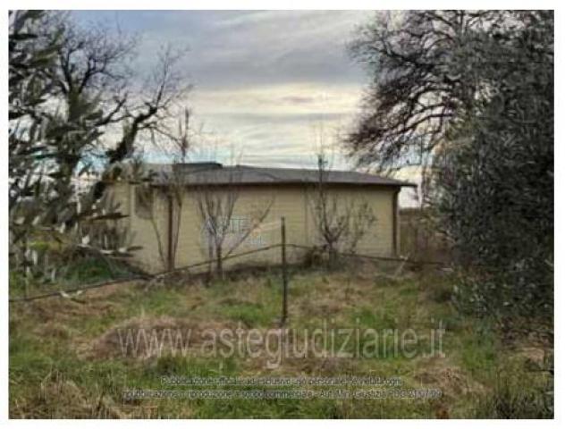 locale commerciale in vendita a Bibbona