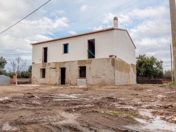 casa indipendente in vendita a Bibbona in zona Marina di Bibbona