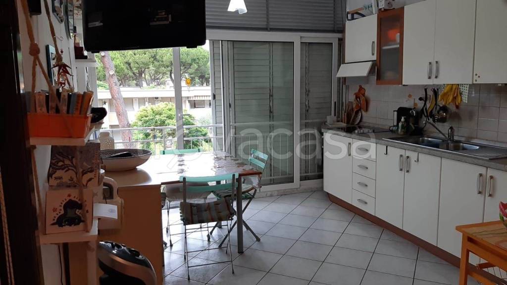 appartamento in vendita a Bibbona in zona Marina di Bibbona