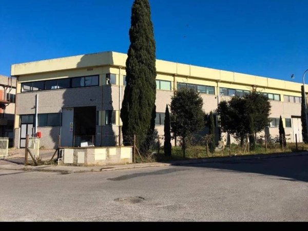 locale commerciale in vendita a Bibbona