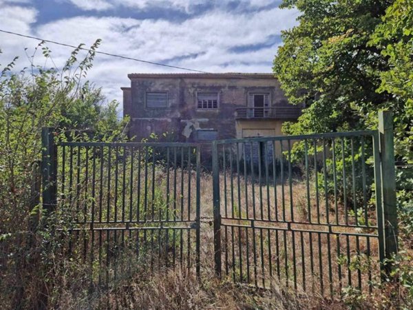 terreno agricolo in vendita a Bibbona in zona La California