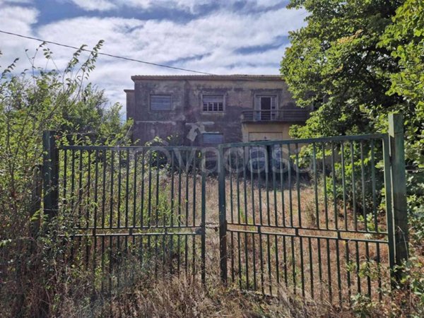 terreno agricolo in vendita a Bibbona