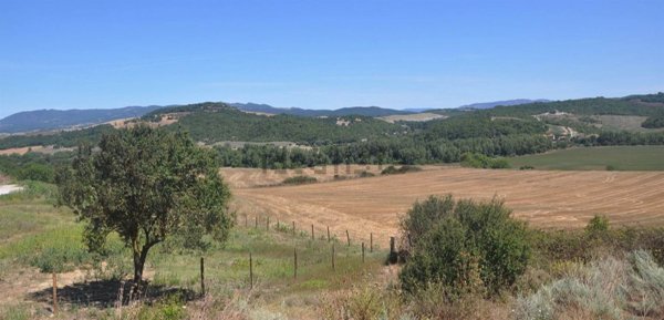 appartamento in vendita a Bibbona