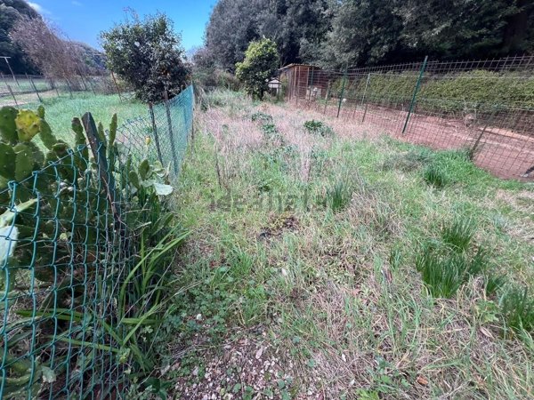 appartamento in vendita a Bibbona in zona Marina di Bibbona