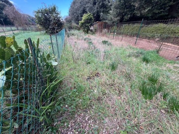 appartamento in vendita a Bibbona in zona La California