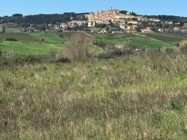 terreno agricolo in vendita a Bibbona