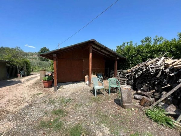 terreno agricolo in vendita a Bibbona