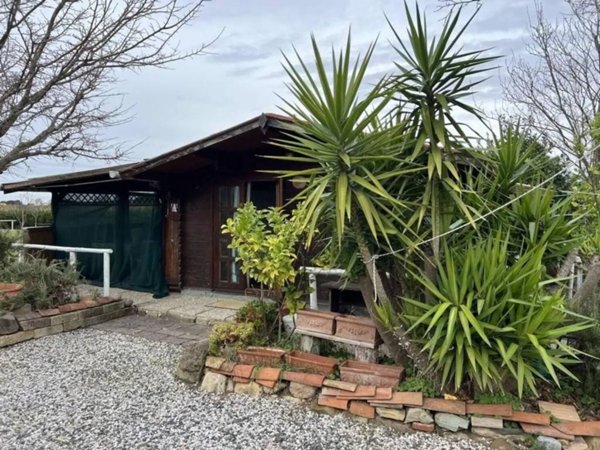 terreno agricolo in vendita a Bibbona in zona Marina di Bibbona