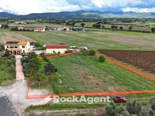 negozio in vendita a Bibbona