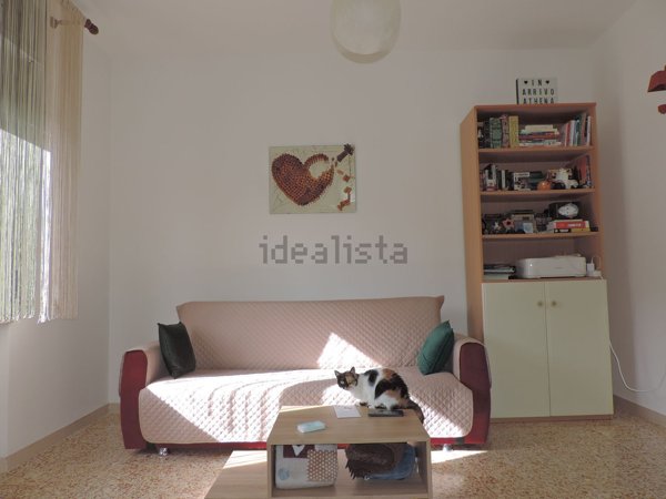 appartamento in vendita a Bibbona