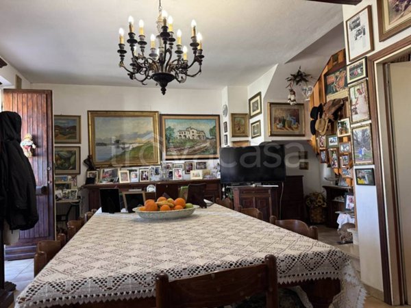 appartamento in vendita a Bibbona