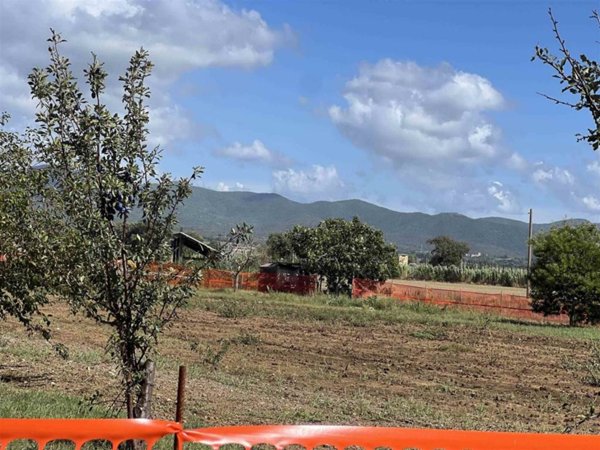 terreno agricolo in vendita a Bibbona