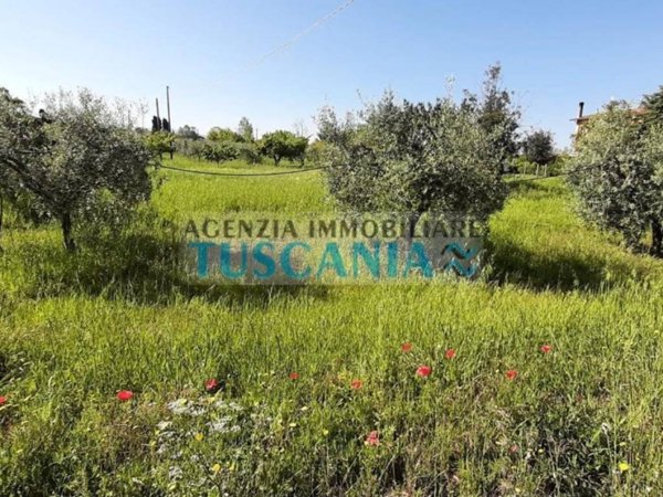 terreno agricolo in vendita a Bibbona in zona Marina di Bibbona