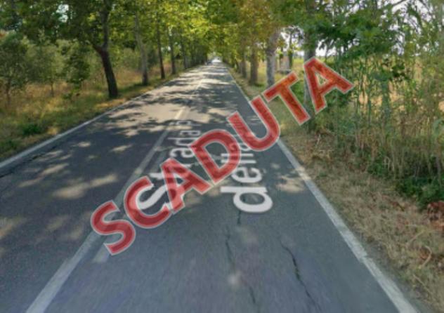 pentavano in vendita a Bibbona