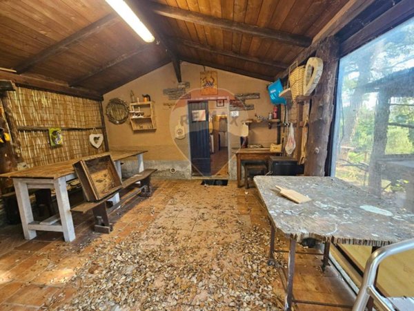 casa indipendente in vendita a Bibbona