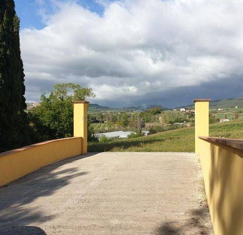 terreno agricolo in vendita a Bibbona