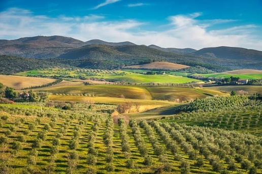 casa indipendente in vendita a Bibbona
