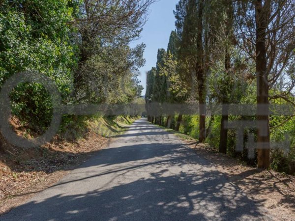 casa indipendente in vendita a Bibbona