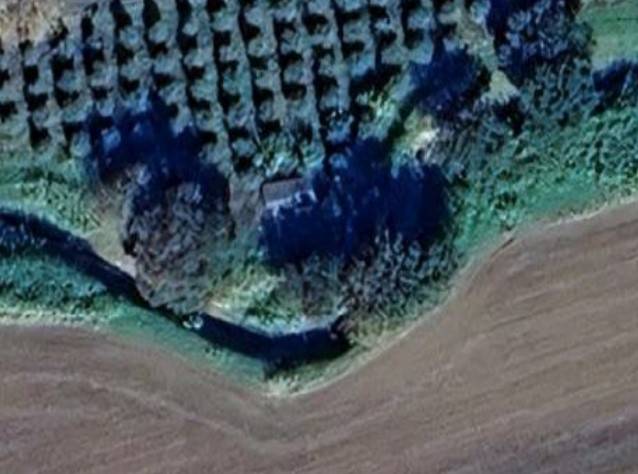 terreno agricolo in vendita a Bibbona in zona La California