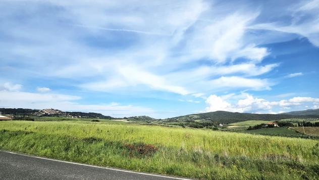terreno agricolo in vendita a Bibbona