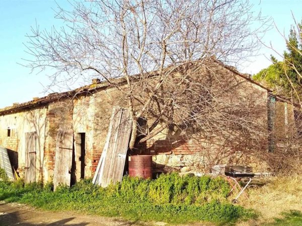 terreno agricolo in vendita a Bibbona in zona La California