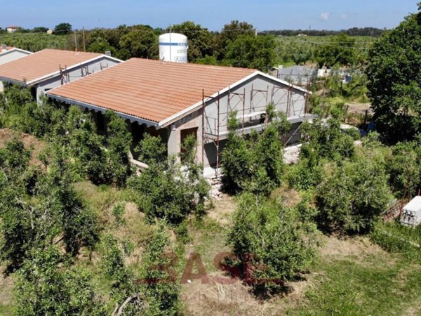 casa indipendente in vendita a Bibbona in zona Marina di Bibbona