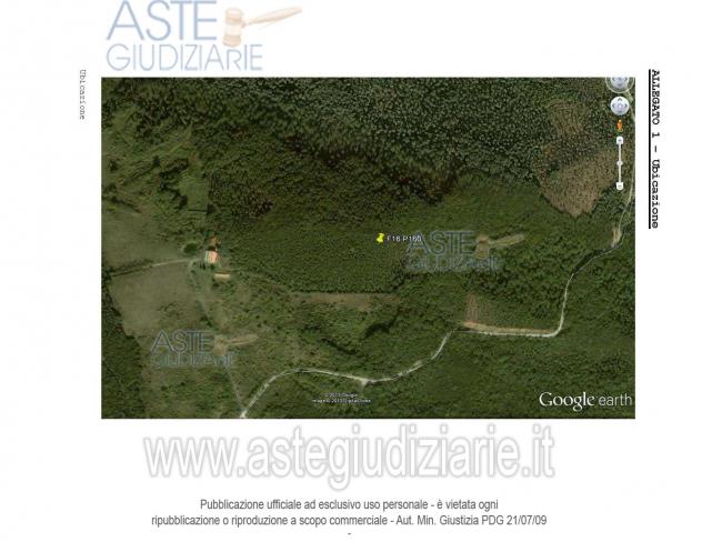 terreno agricolo in vendita a Bibbona