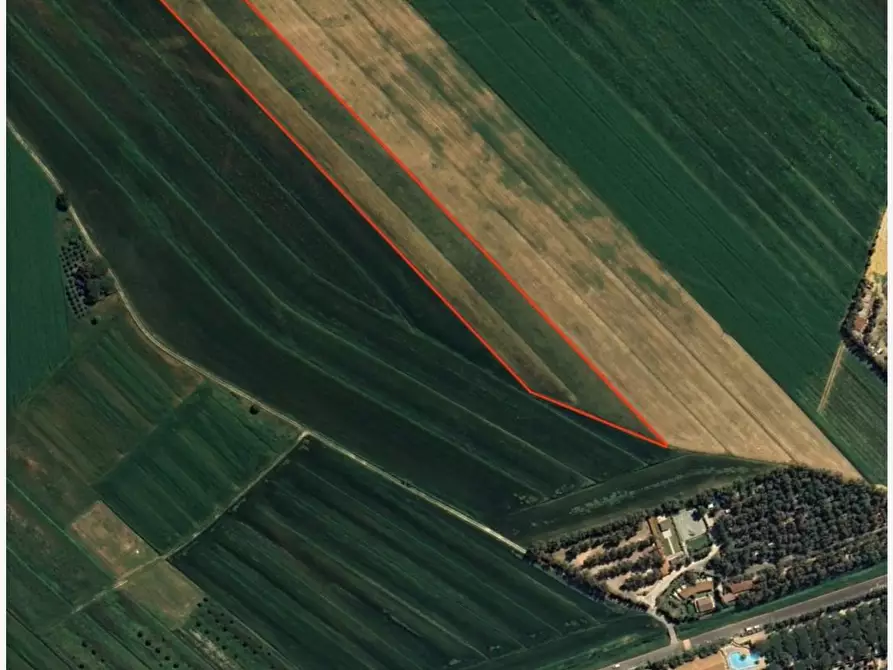 terreno agricolo in vendita a Bibbona in zona La California