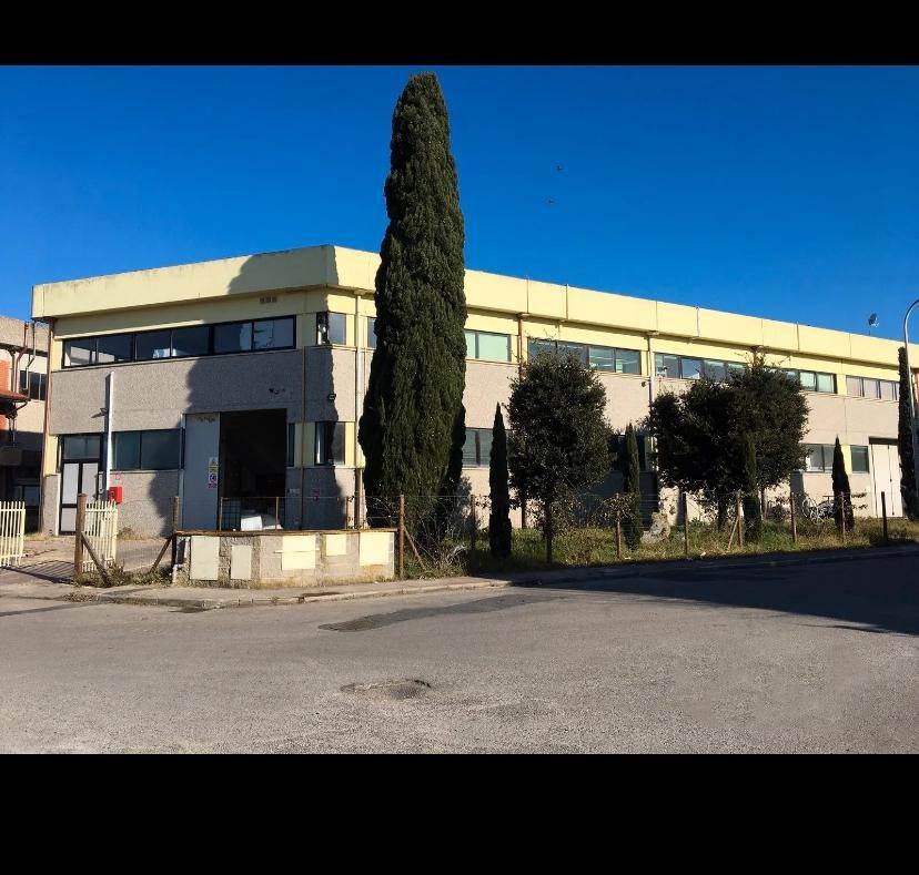 capannone in vendita a Bibbona in zona La California