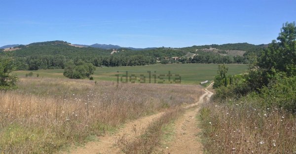 terreno agricolo in vendita a Bibbona in zona La California