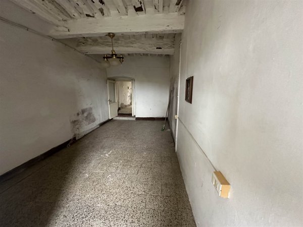 appartamento in vendita a Bibbona