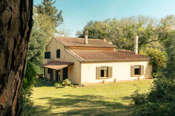 appartamento in vendita a Bibbona