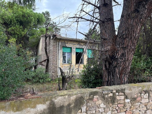casa indipendente in vendita a Bibbona in zona La California