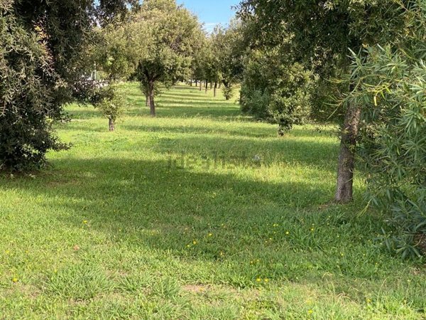 casa indipendente in vendita a Campiglia Marittima in zona Venturina