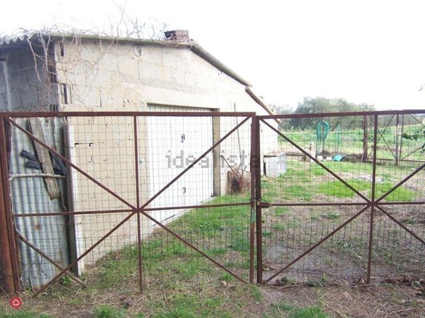 appartamento in vendita a Campiglia Marittima