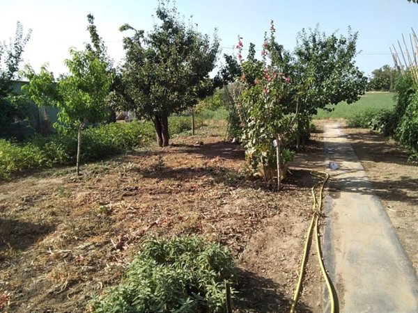 appartamento in vendita a Campiglia Marittima in zona Venturina