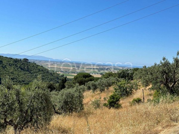 appartamento in vendita a Campiglia Marittima in zona Venturina