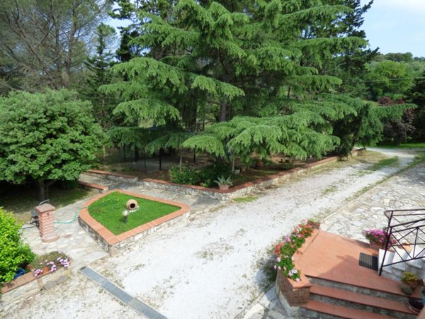 negozio in vendita a Campiglia Marittima