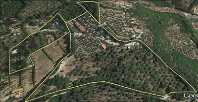 negozio in vendita a Campiglia Marittima