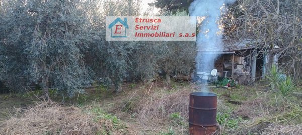 terreno agricolo in vendita a Campiglia Marittima in zona Venturina
