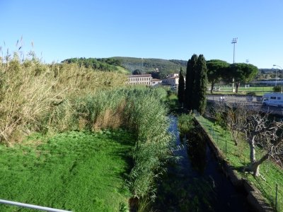 appartamento in vendita a Campiglia Marittima