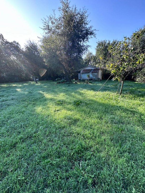 casa semindipendente in vendita a Campiglia Marittima