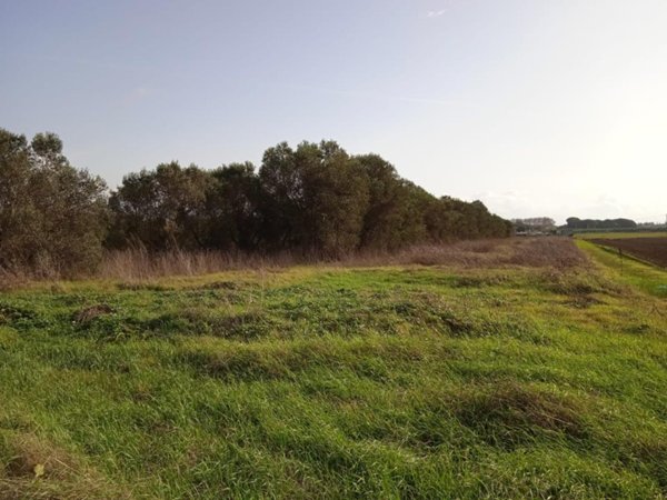 negozio in vendita a Campiglia Marittima in zona Venturina
