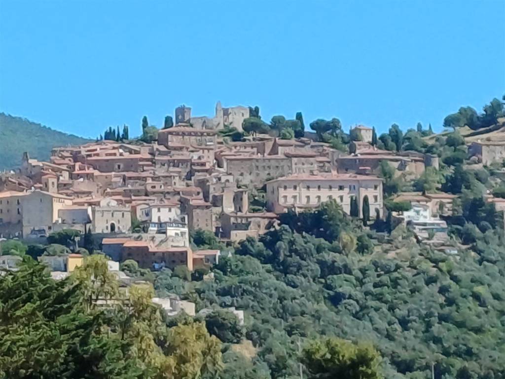 terreno agricolo in vendita a Campiglia Marittima