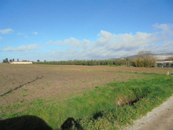 terreno agricolo in vendita a Campiglia Marittima