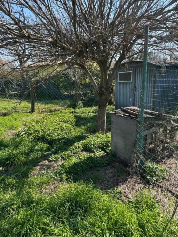 terreno agricolo in vendita a Campiglia Marittima